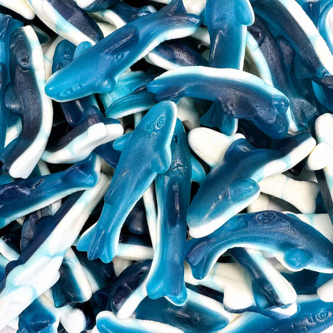 Blue Shark Jelly