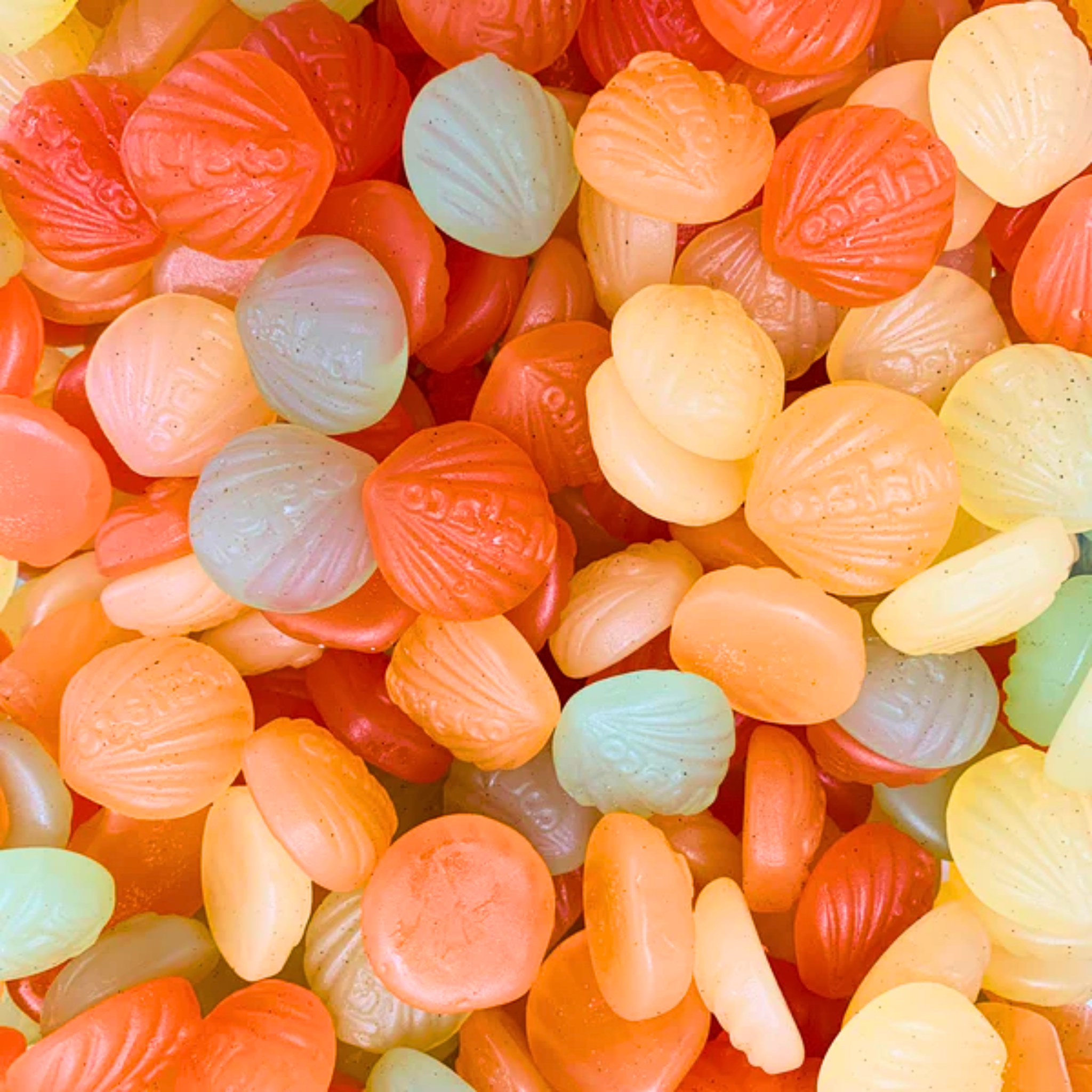 Shell Candies Gummy Shells – Soft Inside, Firm Outside, Sweet Perfection – Swedish ...