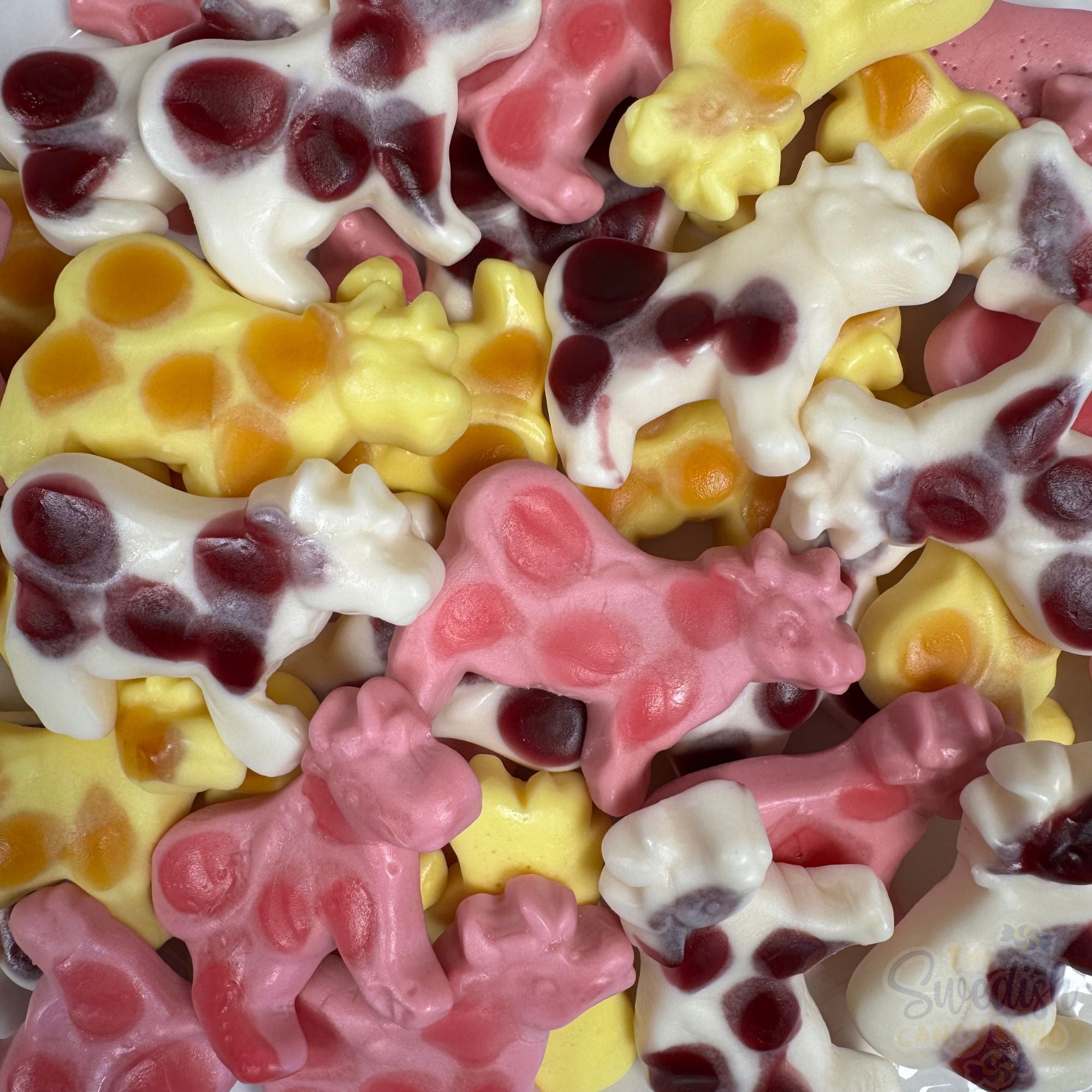 Milk Cow – Swedish Candy Land