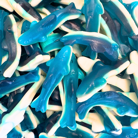 Blue Shark Jelly